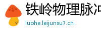 铁岭物理脉冲升级水压脉冲