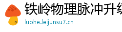 铁岭物理脉冲升级水压脉冲